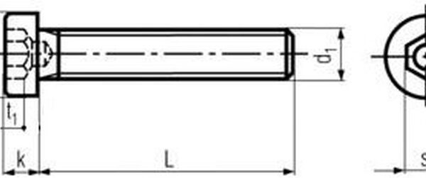 imbus M10x16 ZINEK 8.8 nízká válcová hlava DIN 6912 Firma Killich s.r.o. nabízí šrouby imbusy s vnitřním šestihranem a nízkou válcovou hlavou dle DIN 6912. V sortimentu imbusů s vnitřním šestihranem a nízkou válcovou hlavou dle DIN 6912 jsou šrouby nerezové A2